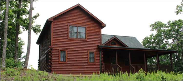 Professional Log Home Borate Application  Irwin County, Georgia